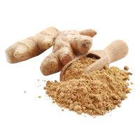 Ginger Powder